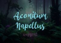 Aconitum Napellus Font - Featured Image