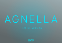 Agnella Medium Font - Featured Image