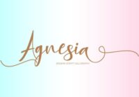 Agnesia Font - Featured Image