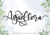 Aguellera Font - Featured Image