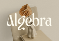 Algebra Font - Featured Image