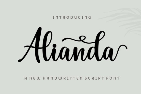 Alianda Script Font - Featured Image
