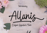 Allanis Font - Featured Image