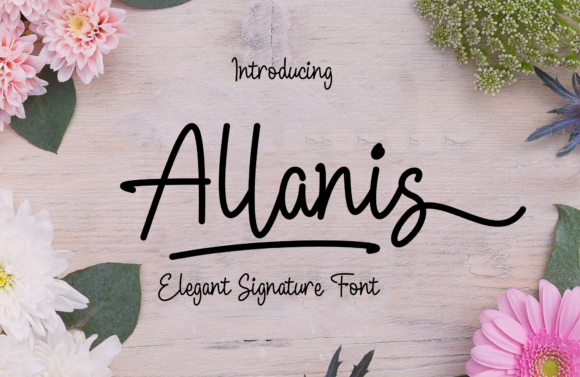 Allanis Font - Featured Image