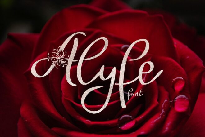 Alyfe Font - Featured Image