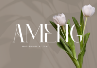 Ameng Font - Featured Image