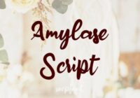 Amylase Script Font - Featured Image