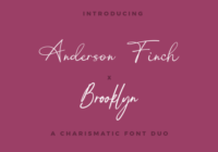 Anderson Finch X Brooklyn Duo Font - Featured Image