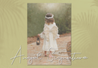 Angel Signature Font - Featured Image