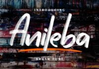 Anileba Font - Featured Image