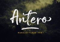 Antero Font - Featured Image