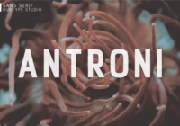 Antroni Font - Featured Image