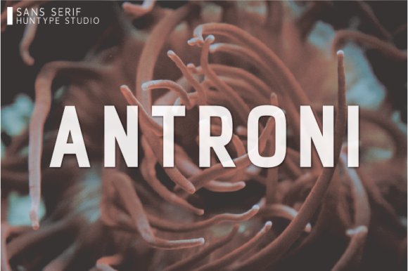Antroni Font - Featured Image