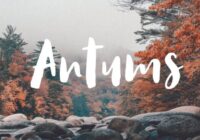 Antums Font - Featured Image