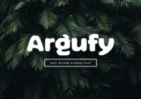 Argufy Font - Featured Image