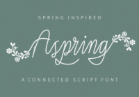 Aspring Font - Featured Image