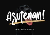 Asutenan Font - Featured Image