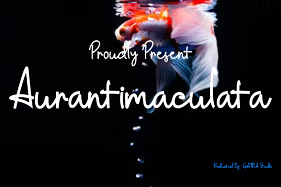 Aurantimaculata Font - Featured Image