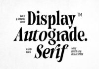 Autograde - Strong Bold Serif Font - Featured Image