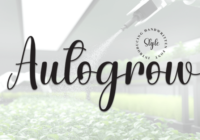 Autogrow Font - Featured Image