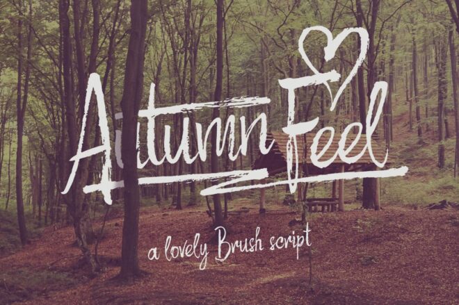 Autumn Feel Font - Featured Image