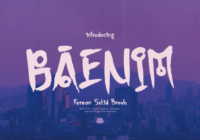 Baenim Font - Featured Image