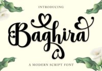Baghira Font - Featured Image