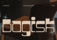 Bagisk Font - Featured Image