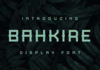 Bahkire Font - Featured Image