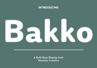 Bakko Font - Featured Image