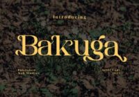 Bakuga Font - Featured Image