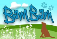 BamBam Font - Featured Image
