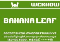 Banana Leaf Font - Featured Image