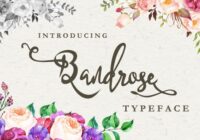 Bandrose Family Font - Featured Image