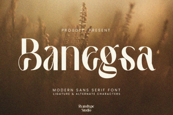 Banegsa Font - Featured Image