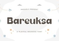 Bareuksa Font - Featured Image