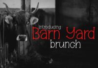 Barnyard Brunch Font - Featured Image