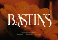 Bastins Font - Featured Image