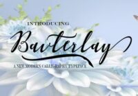 Bavterlay Font - Featured Image