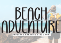 Beach Adventure Font - Featured Image