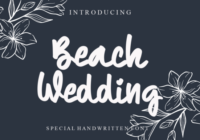 Beach Wedding Font - Featured Image