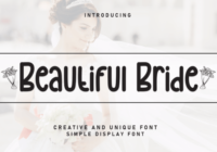 Beautiful Bride Font - Featured Image