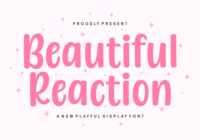 Beautiful Reaction Font - Featured Image