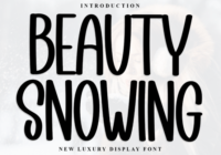 Beauty Snowing Font - Featured Image