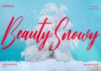 Beauty Snowy Script Font - Featured Image