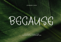 Because Font - Featured Image