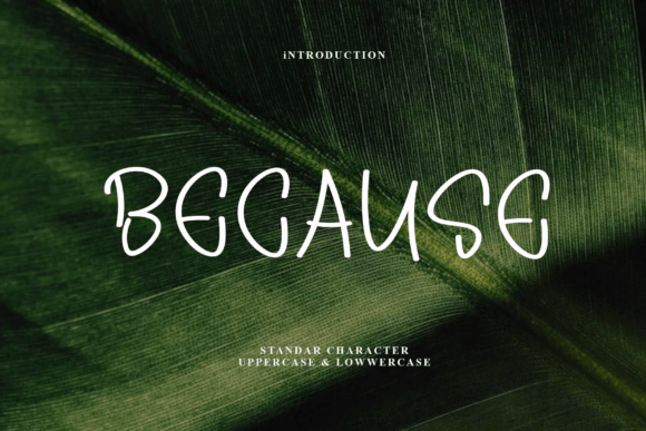 Because Font - Featured Image
