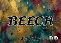 Beech Font - Featured Image