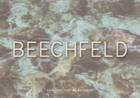 Beechfeld Font - Featured Image