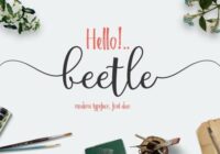 Beetle Duo Font Font - Featured Image